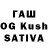Псилоцибиновые грибы Psilocybine cubensis BrajkaGame