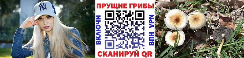 Галлюциногенные грибы ЛСД  Купить  Родники 